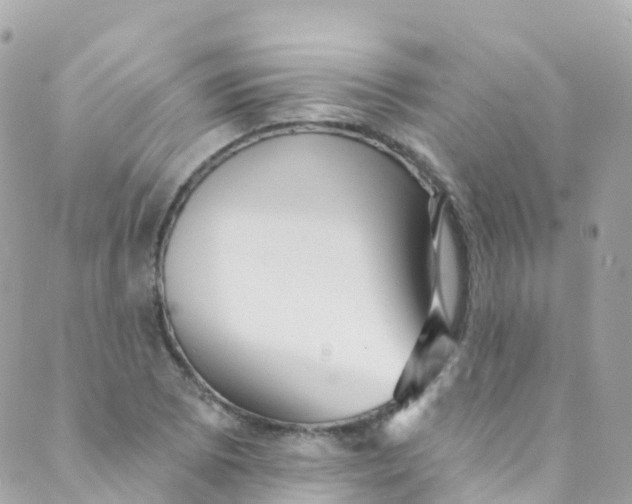 X0000089441073200707061403