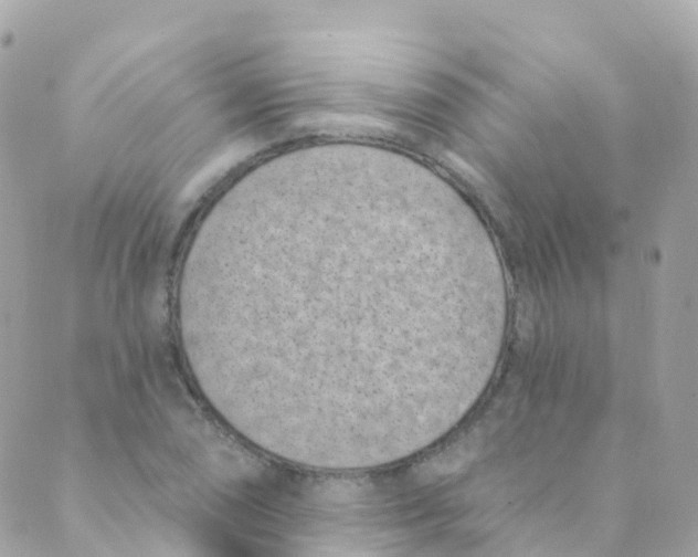 X0000089441074200707061403