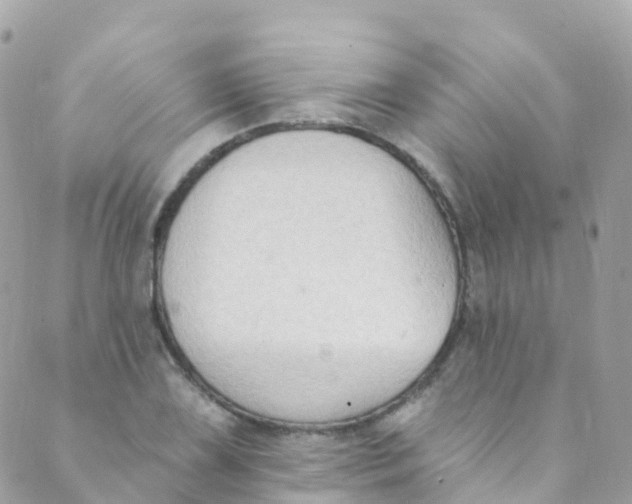 X0000089441075200707061402