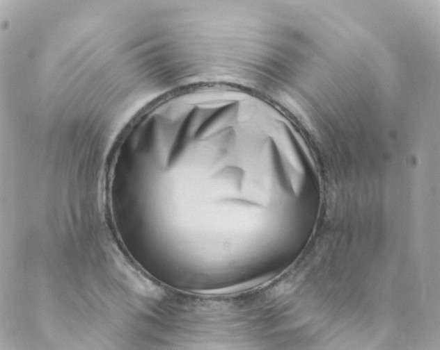 X0000089441076200707061402