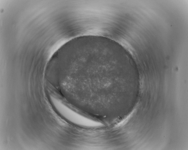 X0000089441077200707061402