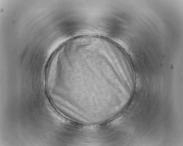 X0000089441078200707061402