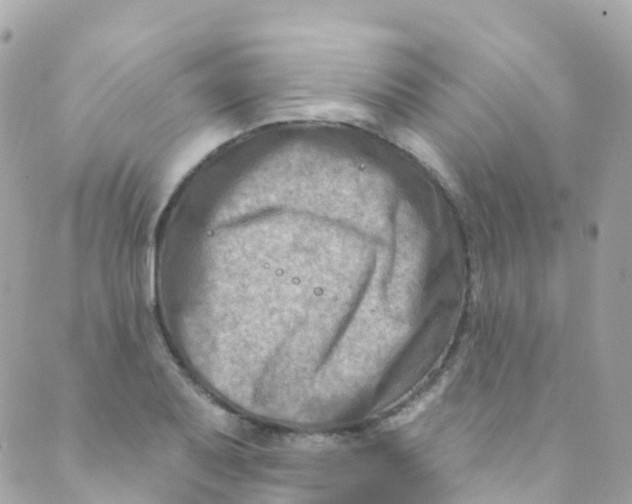 X0000089441079200707061402