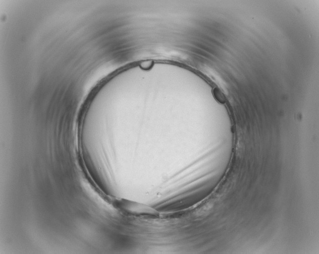 X0000089441080200707061402