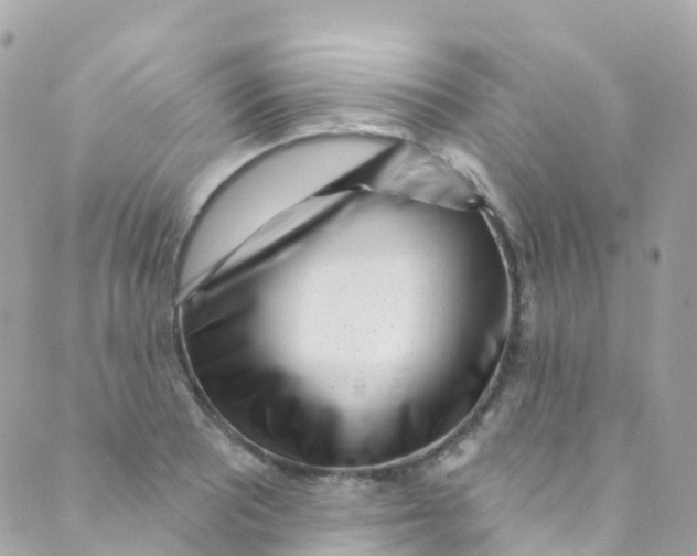 X0000089441081200707061402