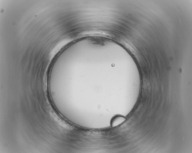 X0000089441082200707061402