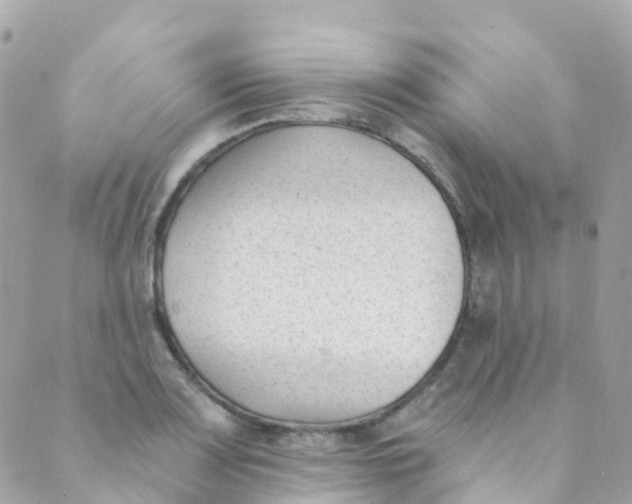 X0000089441083200707061402