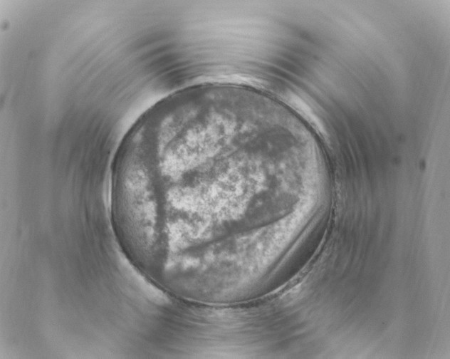 X0000089441084200707061402