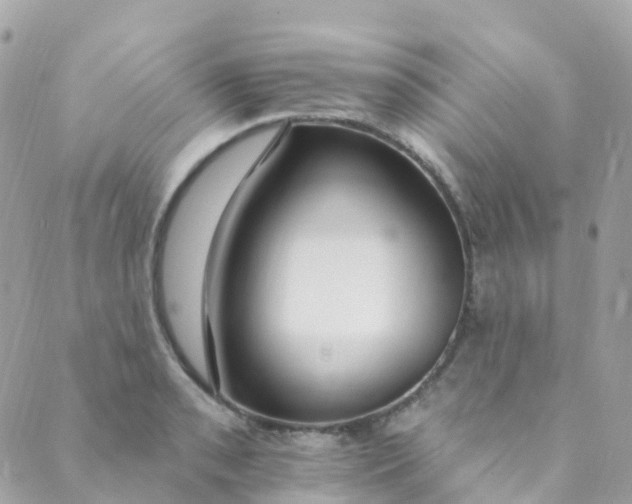 X0000089441085200707061402