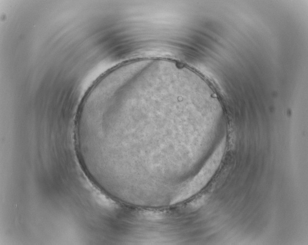 X0000089441086200707061402