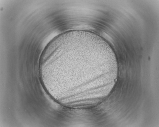 X0000089441087200707061402