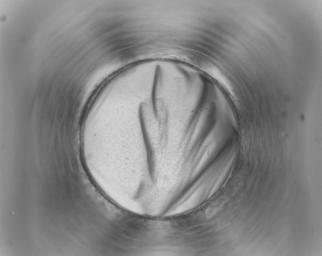 X0000089441088200707061402