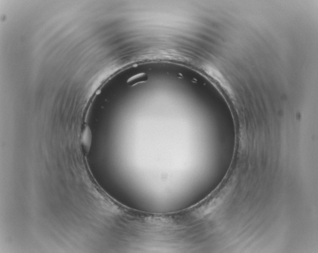 X0000089441089200707061402