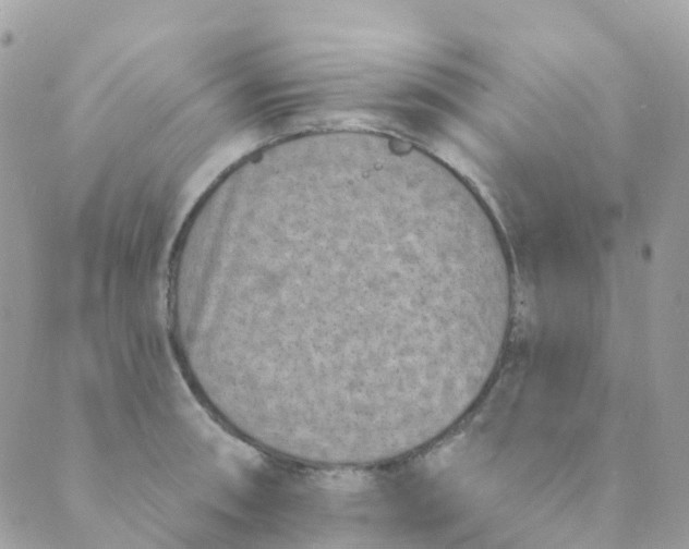 X0000089441090200707061402