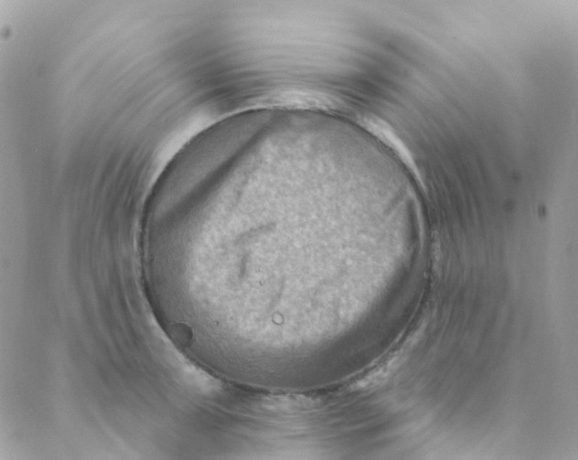 X0000089441091200707061402