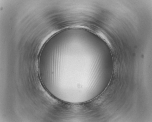 X0000089441092200707061402