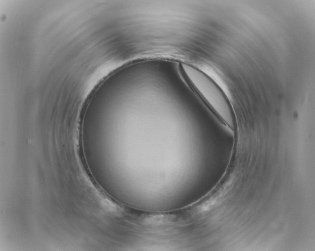 X0000089441093200707061402