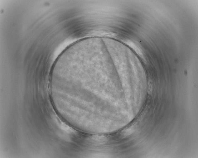 X0000089441094200707061402