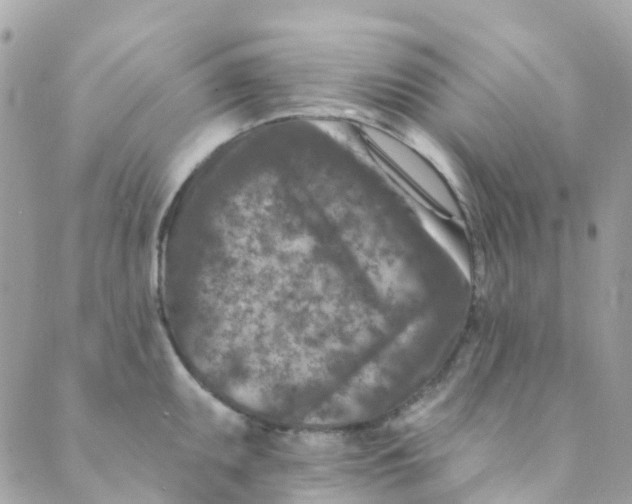 X0000089441095200707061402