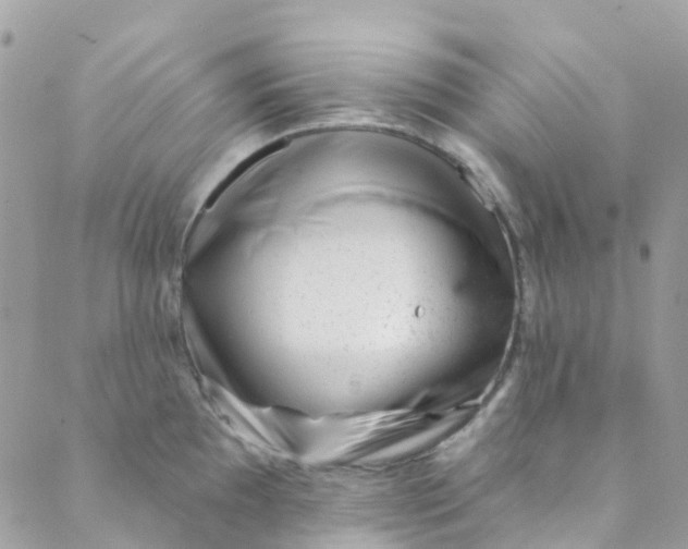 X0000089441097200707061402