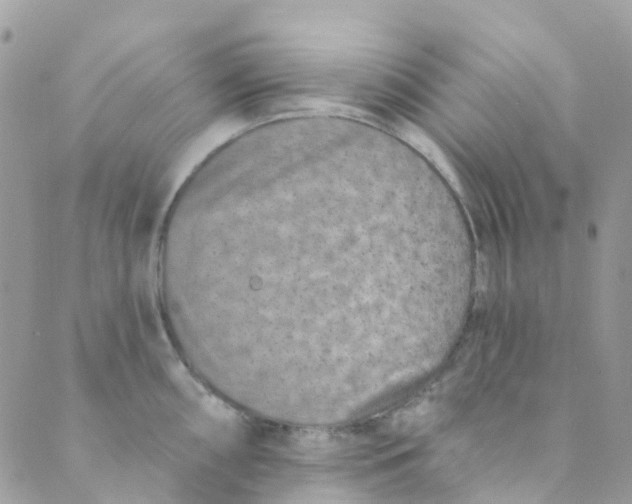 X0000089441098200707061402