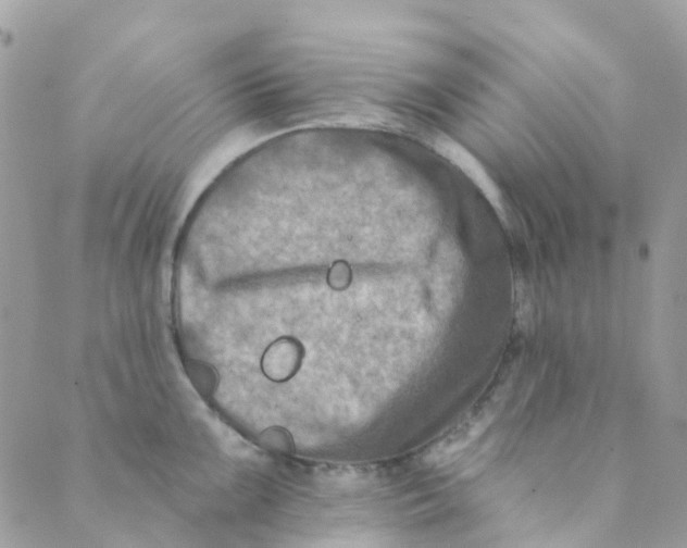 X0000089441099200707061402