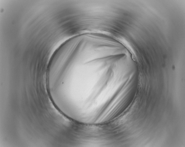 X0000089441100200707061402