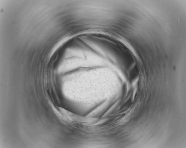 X0000089441101200707061402