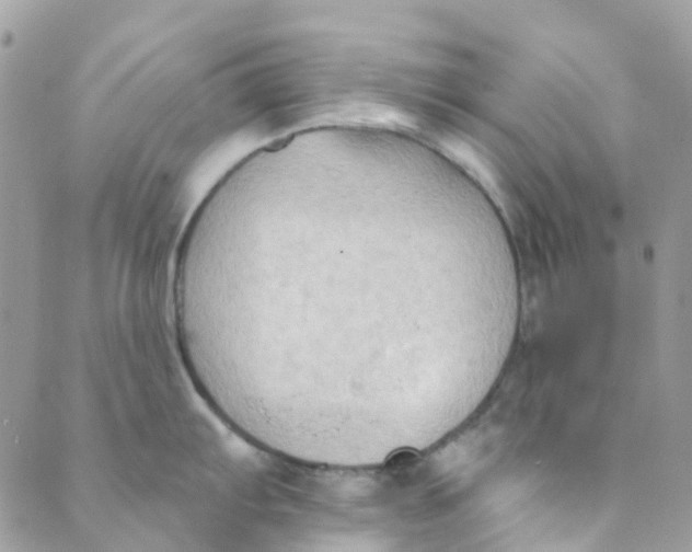 X0000089441103200707061402