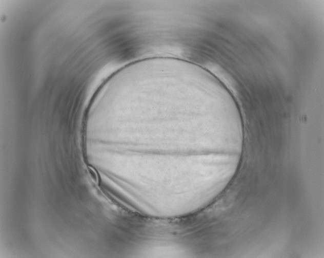 X0000089441104200707061402