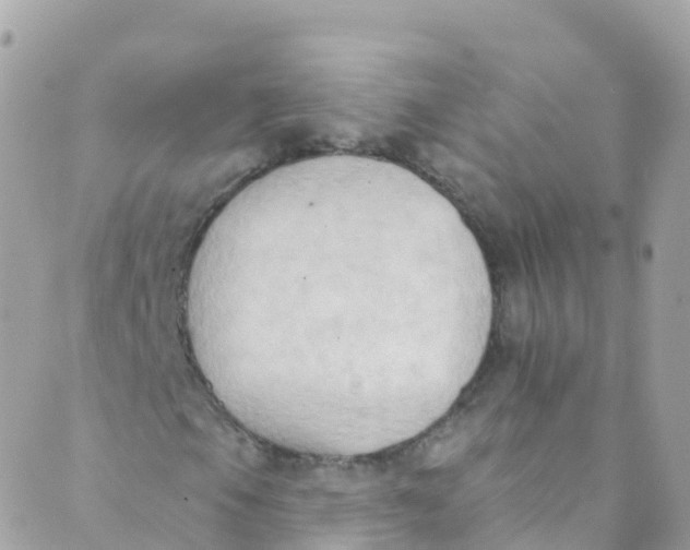 X0000089441105200707061401