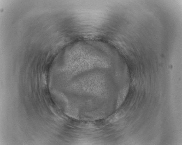 X0000089441106200707061401