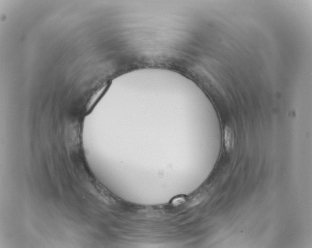 X0000089441107200707061401