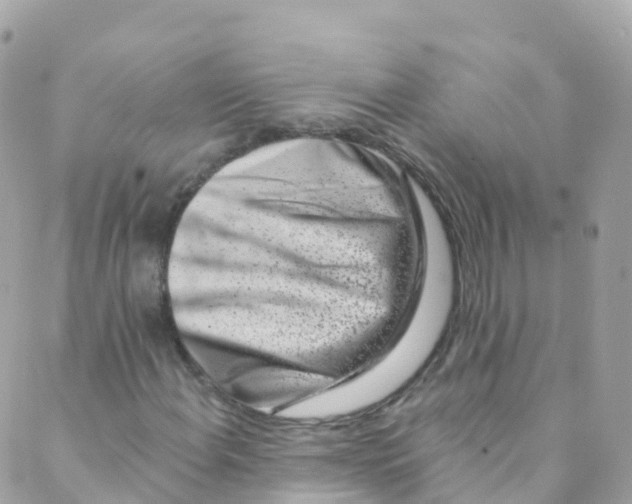 X0000089441108200707061401