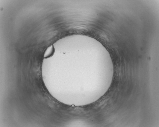 X0000089441109200707061401