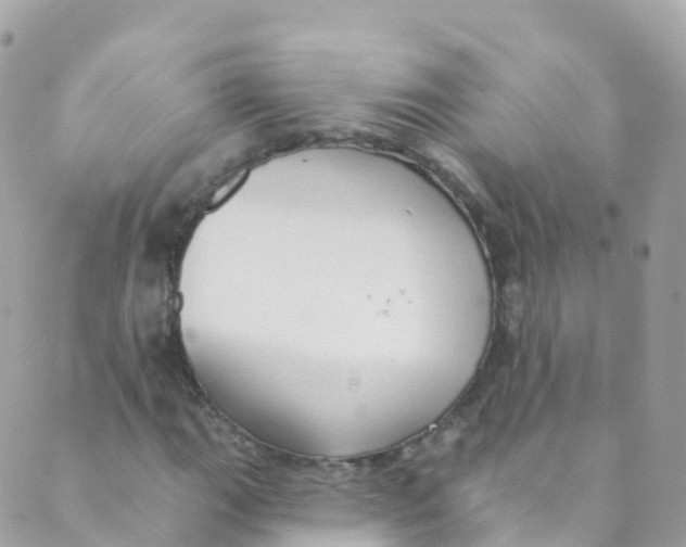 X0000089441111200707061401