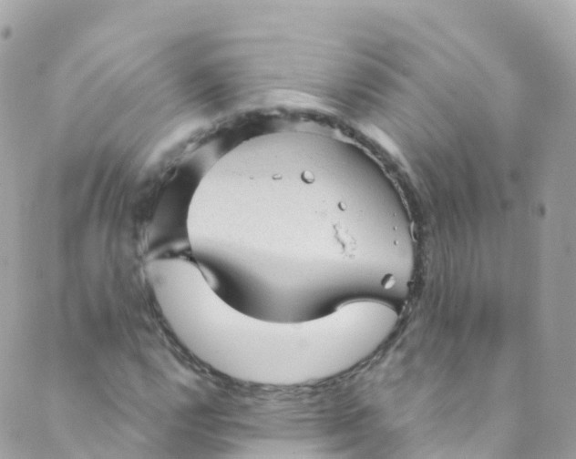 X0000089441112200707061401