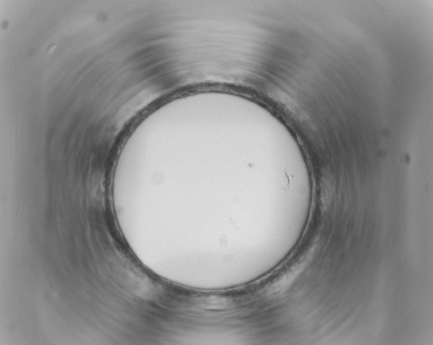 X0000089441113200707061401