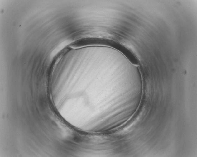 X0000089441114200707061401