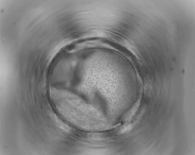 X0000089441116200707061401