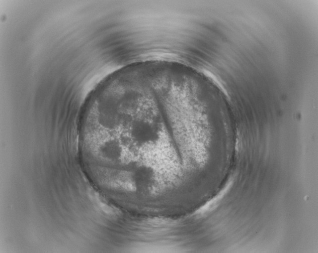 X0000089441117200707061401