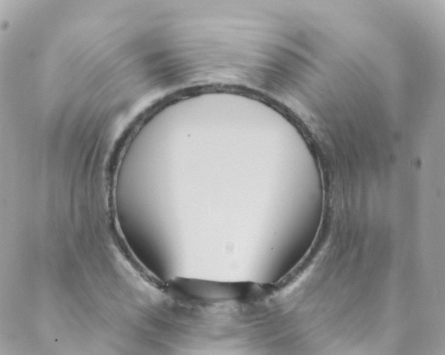 X0000089441118200707061401