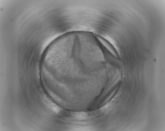 X0000089441120200707061401