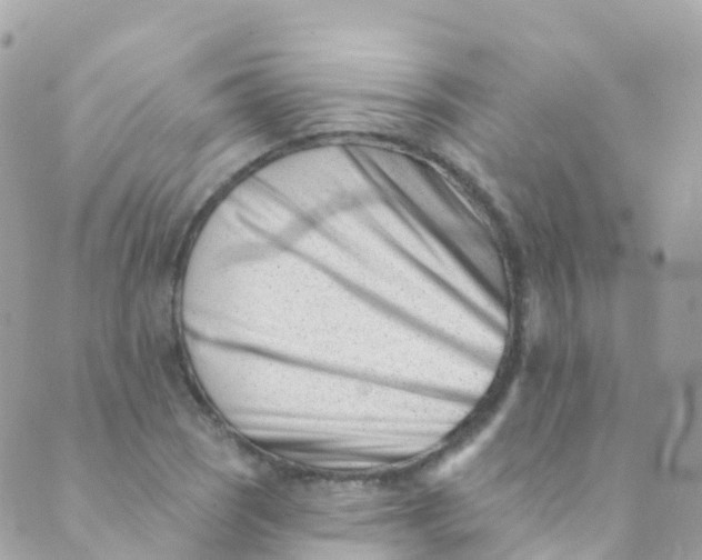 X0000089441121200707061402