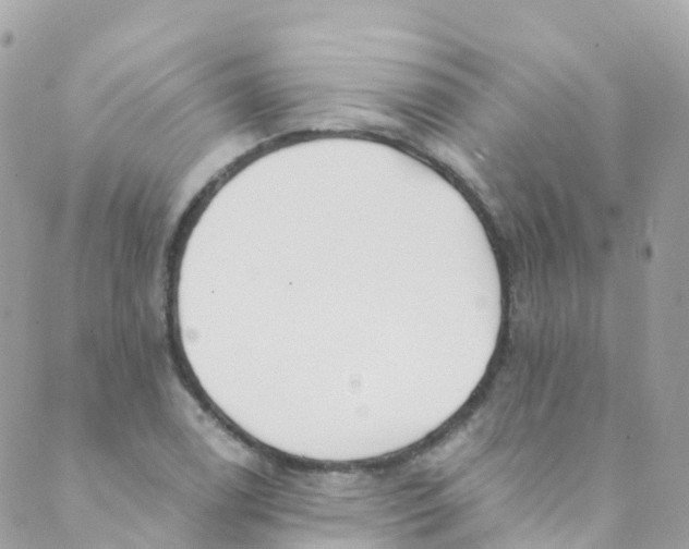 X0000089441122200707061402