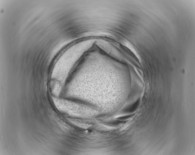 X0000089441124200707061402