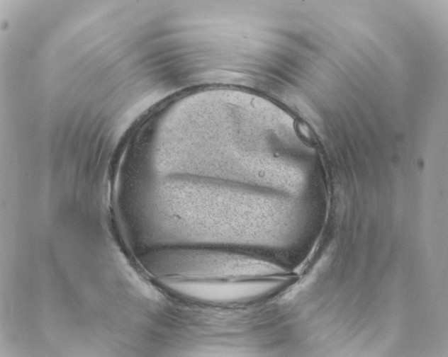 X0000089441125200707061402