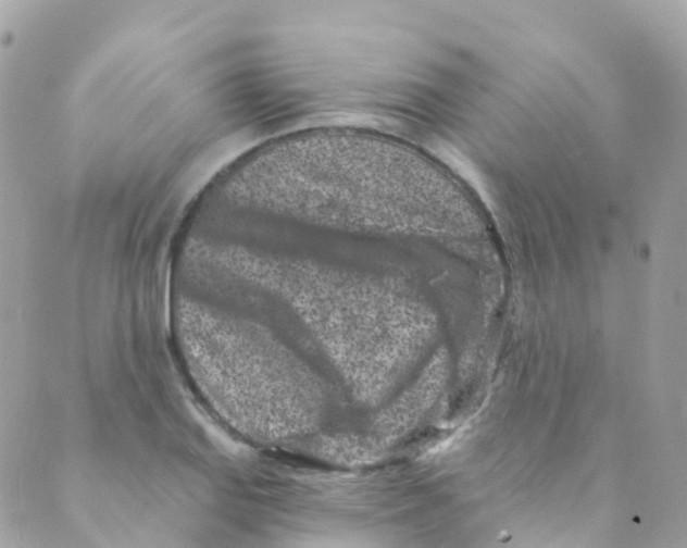 X0000089441127200707061402