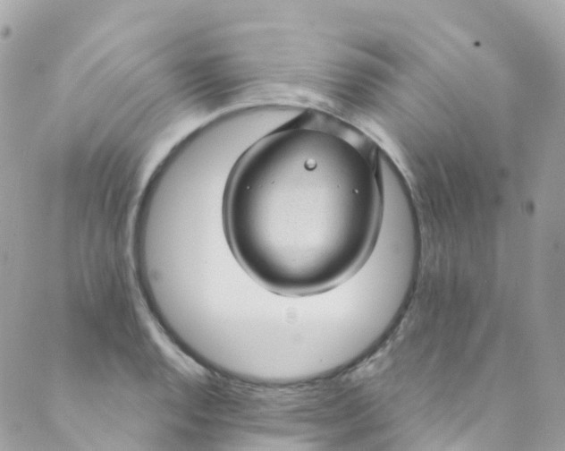 X0000089441128200707061402