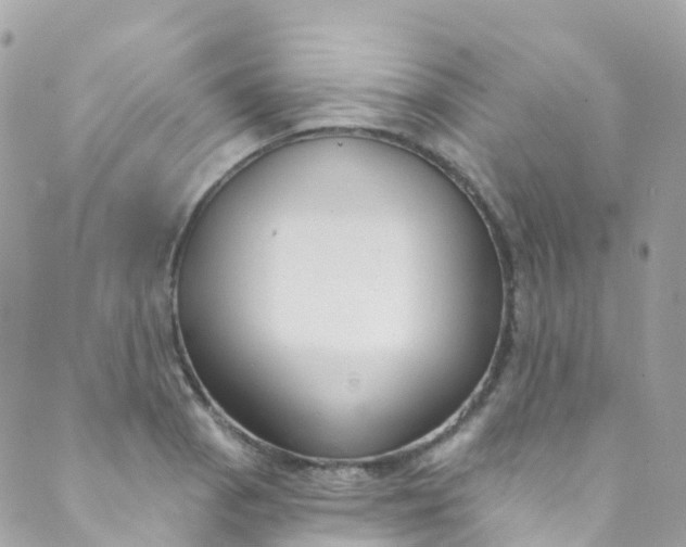 X0000089441129200707061402